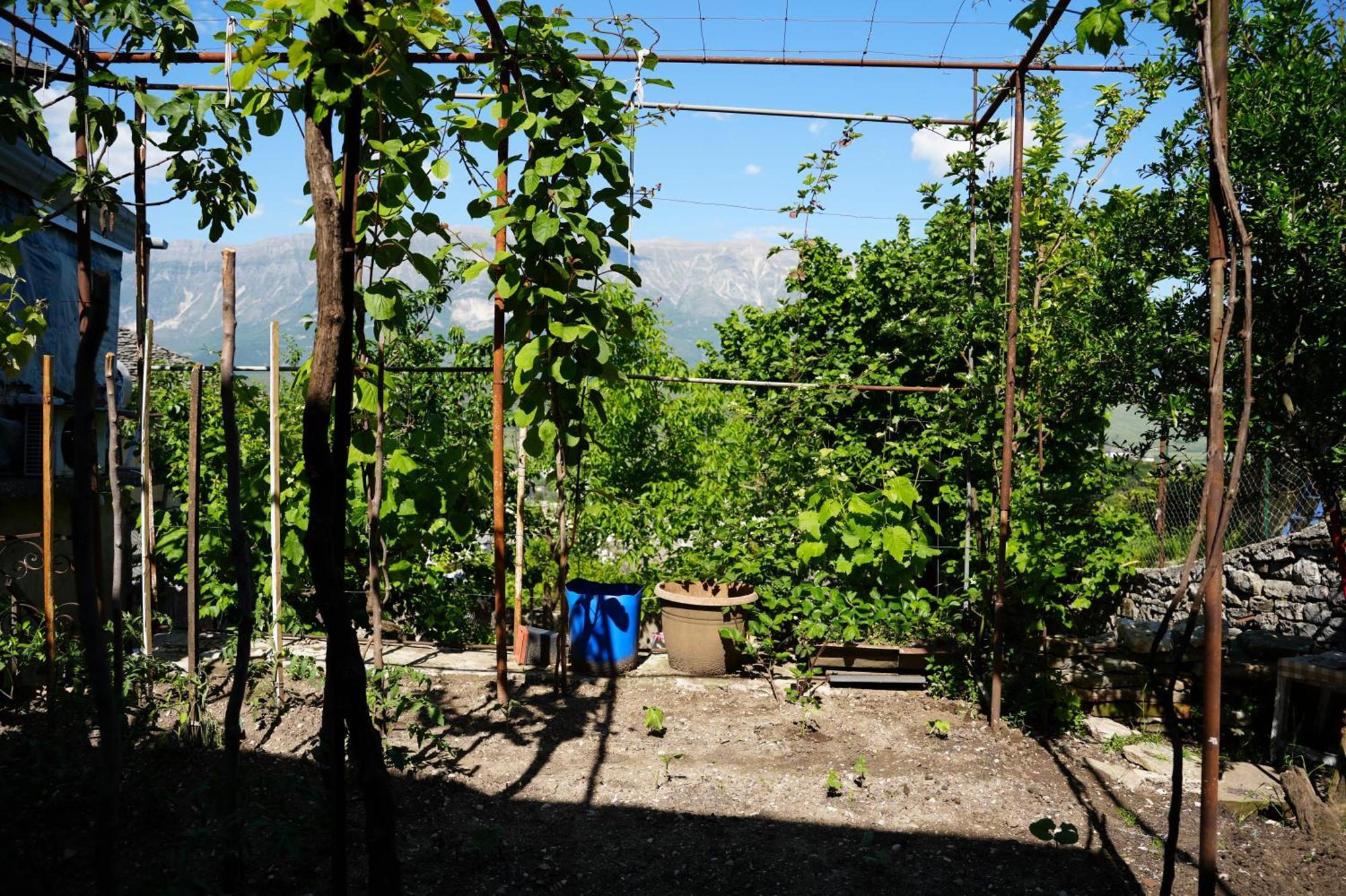 Guest House Denis Gjirokastër 外观 照片